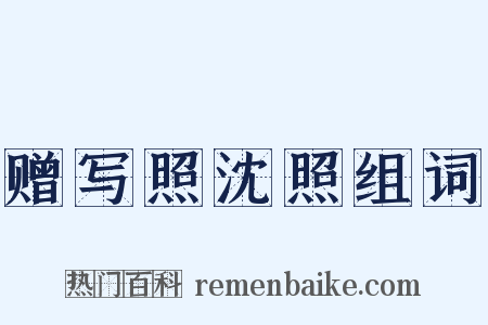 赠写照沈照组词是什么意思的图片
